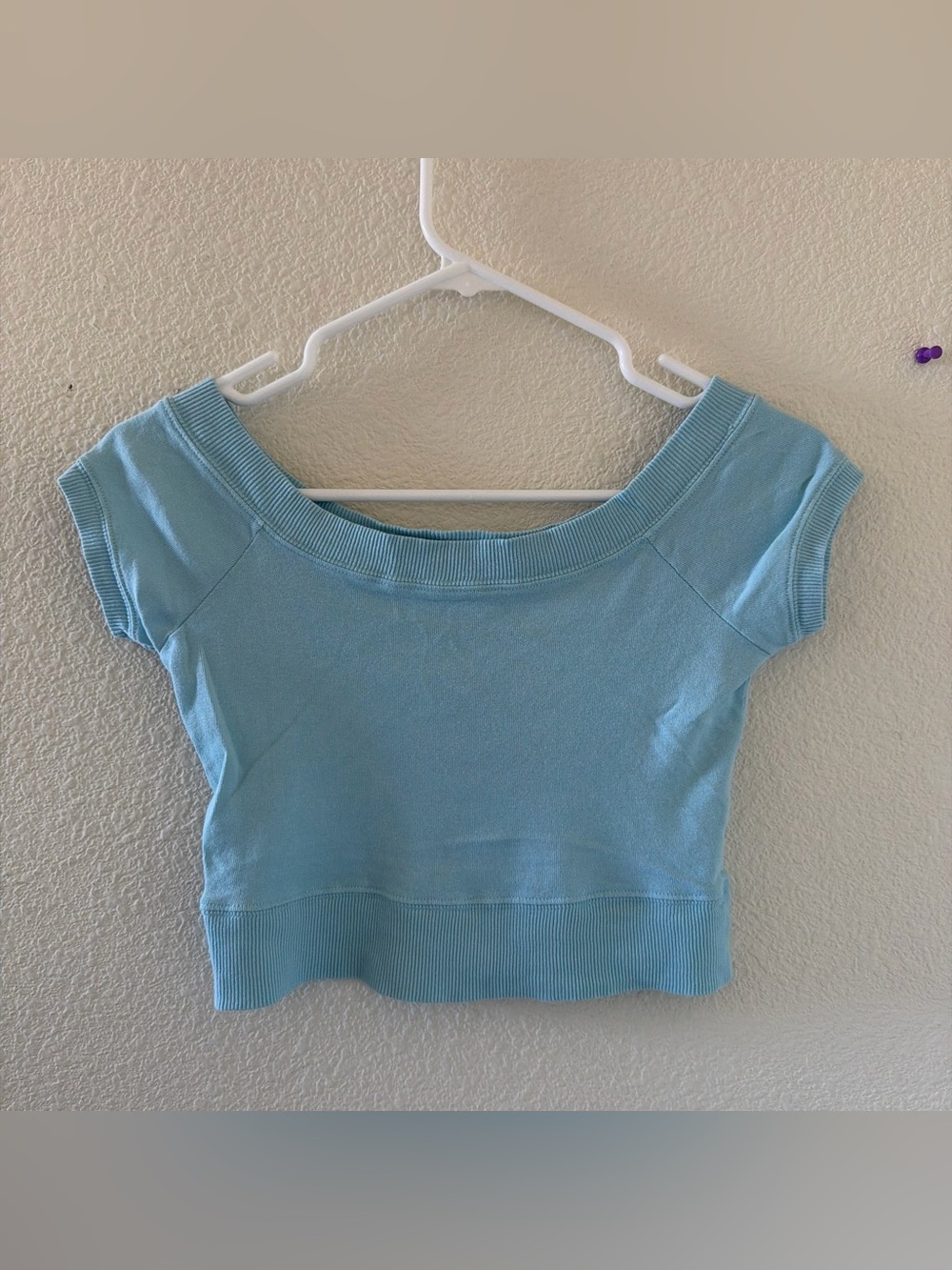 Brandy melville blue Ginny crop off shoulder top